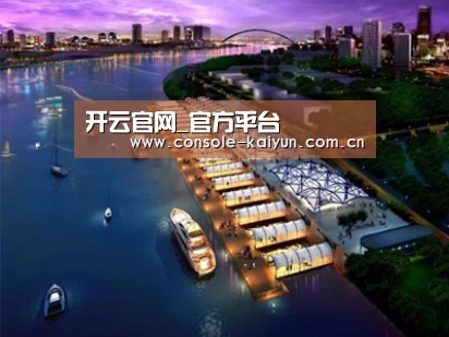 案例展示八