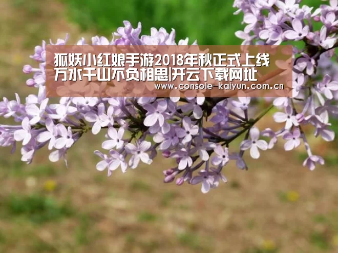 开云下载网址