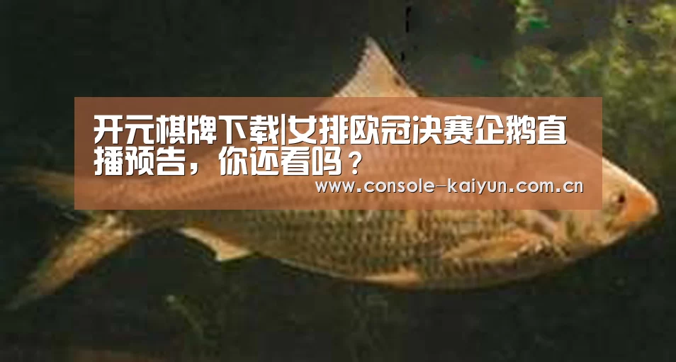 开元棋牌下载